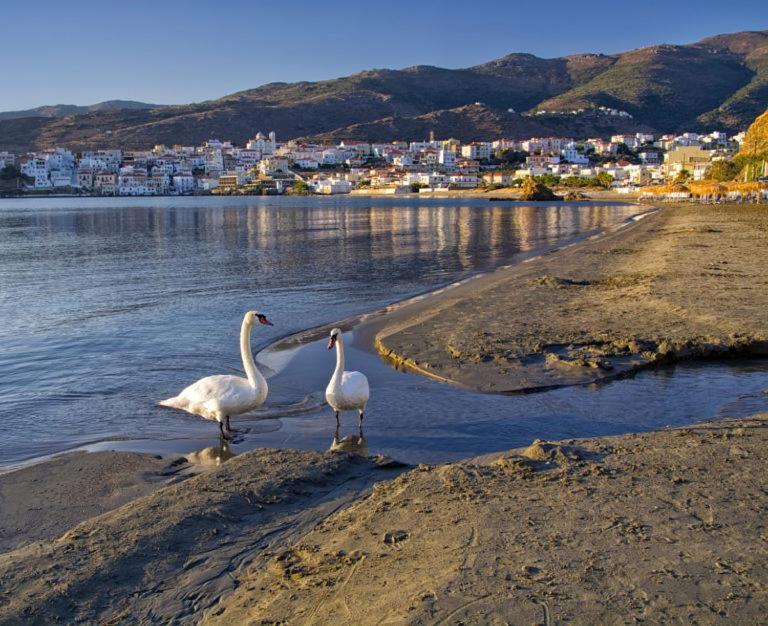 Πλατανακι 2 Seaview Apartment Ándros Exteriör bild
